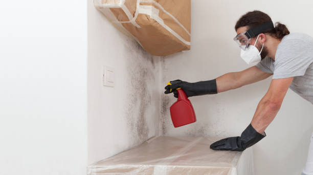 Professional Mold Removal technician working in Gowen, MI