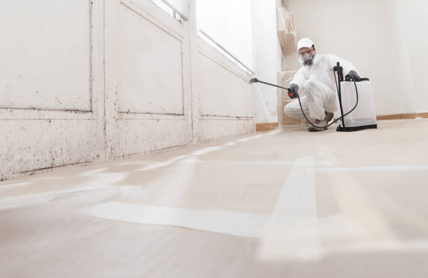 24/7 Emergency Mold Removal experts in Gowen, MI