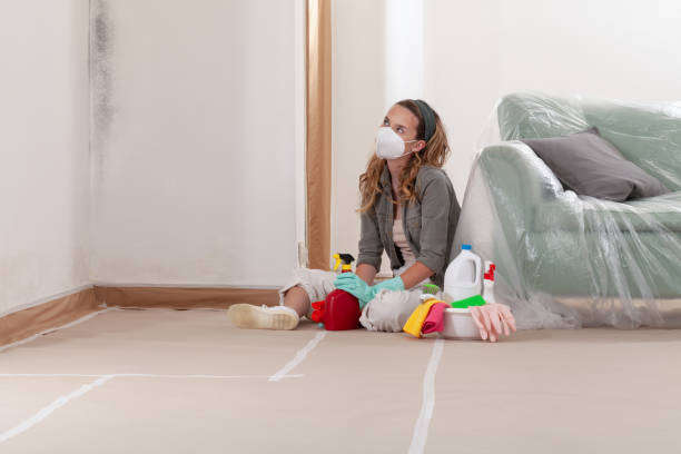 Reliable Mold Removal contractor in Gowen, MI by Mold Remediation HQ